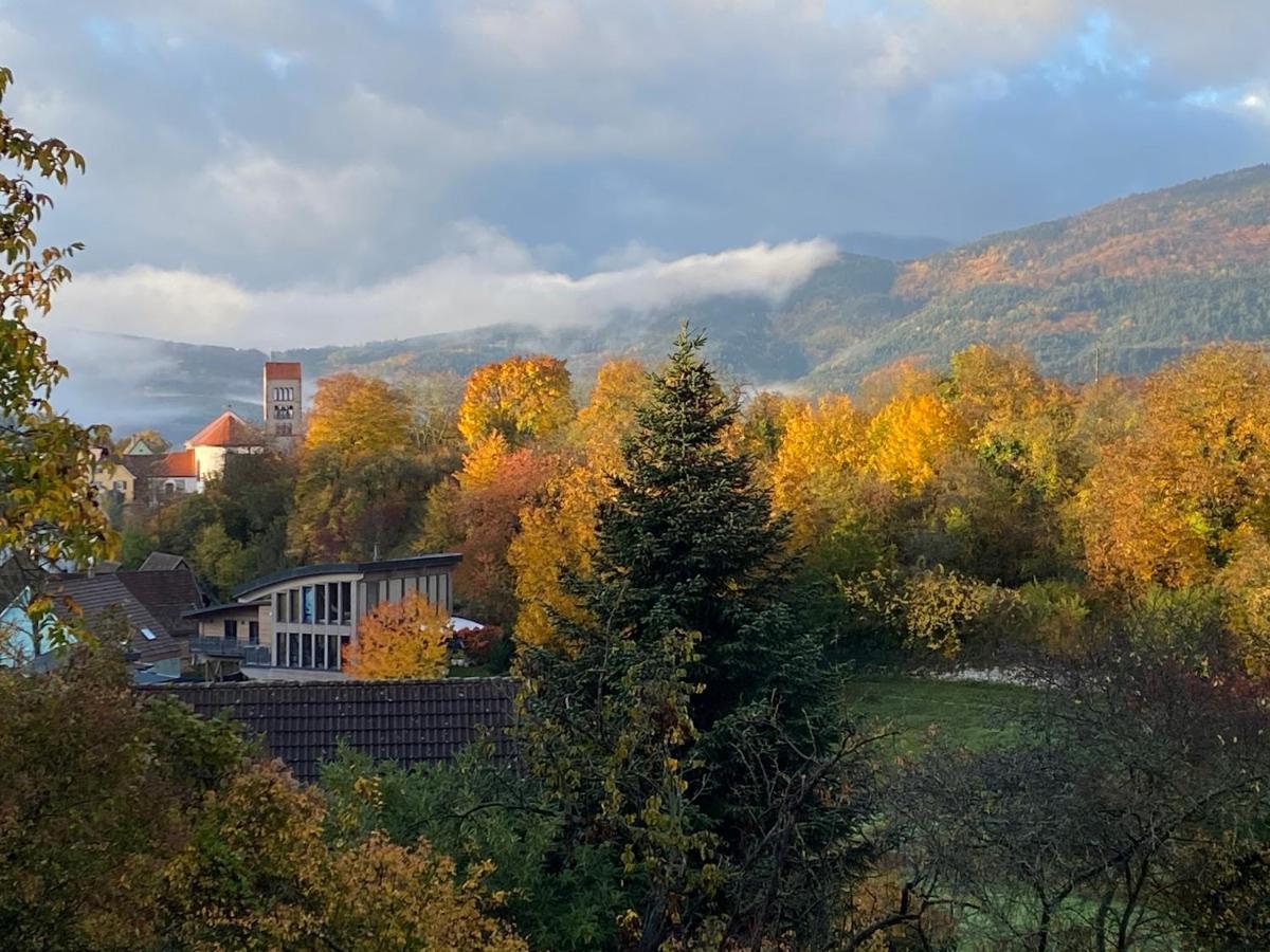 Le Moonloft insolite Tiny-House dans les arbres&1 séance de sauna pour 2 avec vue panoramique Osenbach Esterno foto