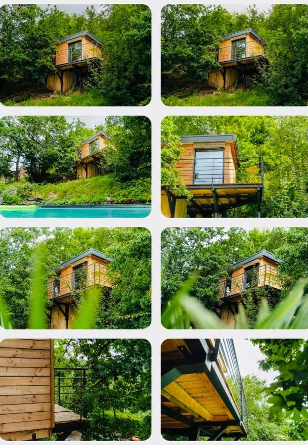 Le Moonloft insolite Tiny-House dans les arbres&1 séance de sauna pour 2 avec vue panoramique Osenbach Esterno foto